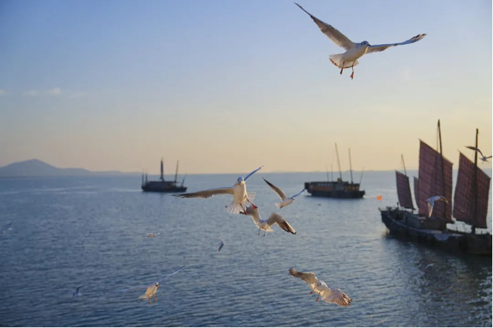 大美太湖｜新谱一曲“太湖美”，唱给您来听！