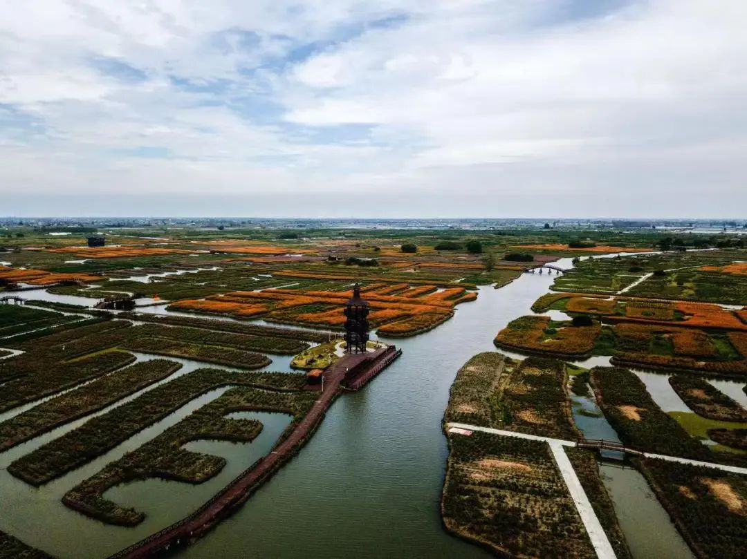 生态环保看江苏 | 如何将绿意“变现”？兴化点“绿”成金打造全国样板区